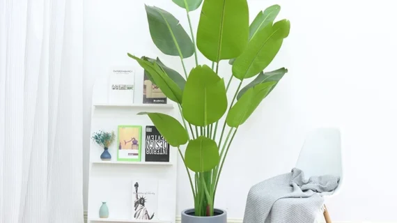 Bird of Paradise Perfect Potted พืชประดิษฐ์สำหรับในร่ม