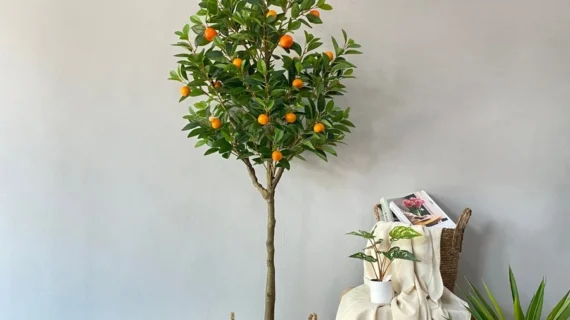 ต้นส้มประดิษฐ์ Orange Tree ต้นไม้มงคล ตกแต่งบ้าน ขนาด 180 Cm.